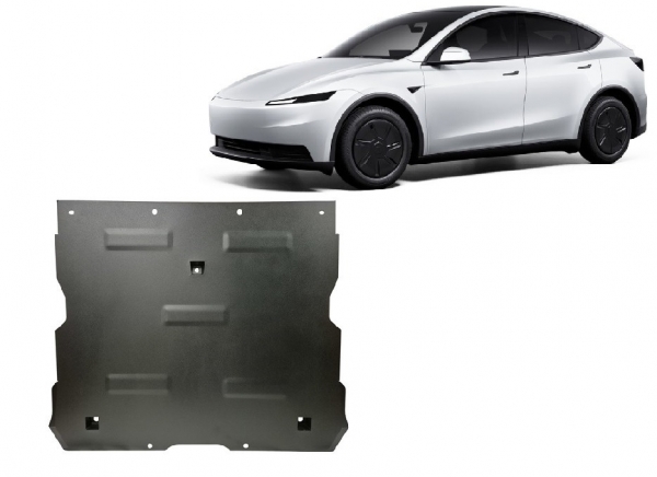 Scut auto faţă Tesla Model Y AWD